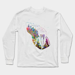 Molar Tooth Section Long Sleeve T-Shirt